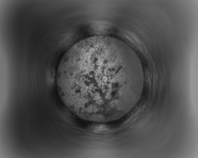 X0000092220507200709211010