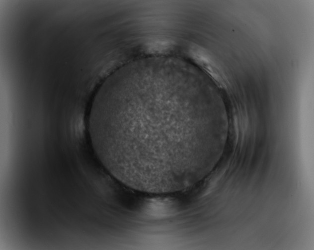 X0000092220508200709211010