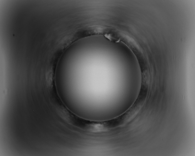 X0000092220509200709211010