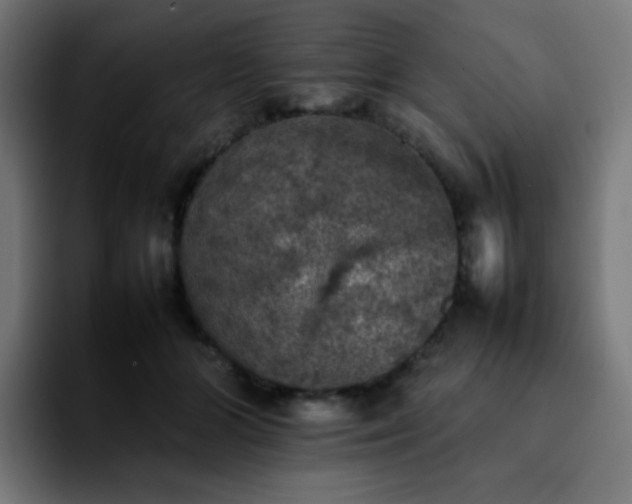 X0000092220510200709211010