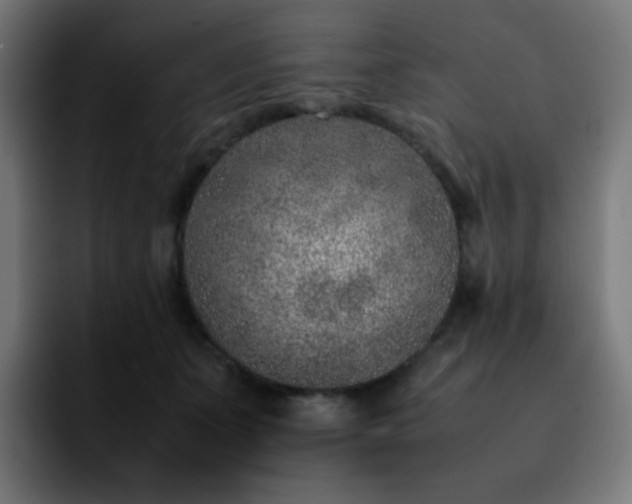 X0000092220511200709211010