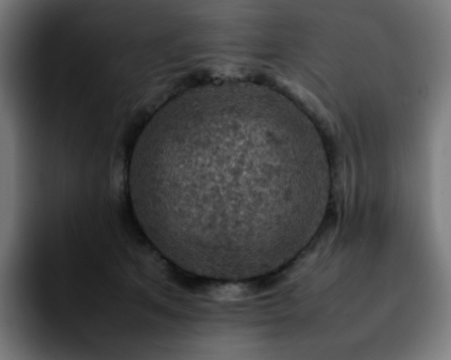 X0000092220513200709211010