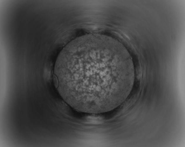 X0000092220515200709211010