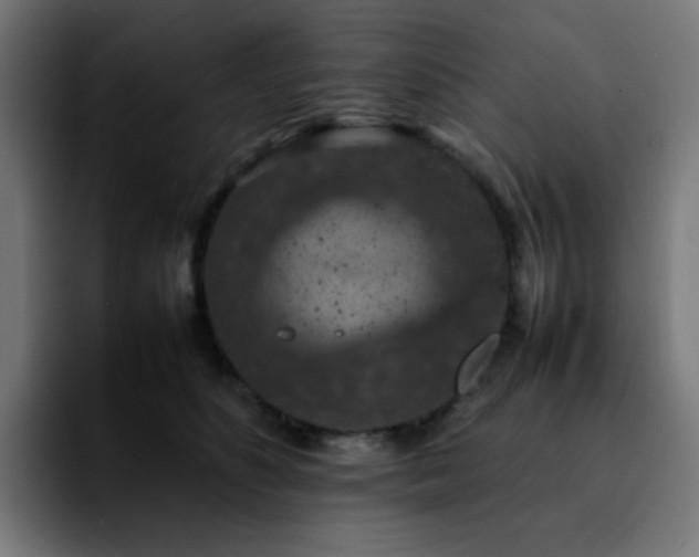 X0000092220516200709211010