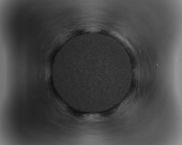 X0000092220517200709211010