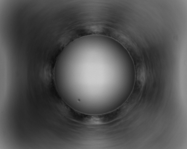 X0000092220518200709211010