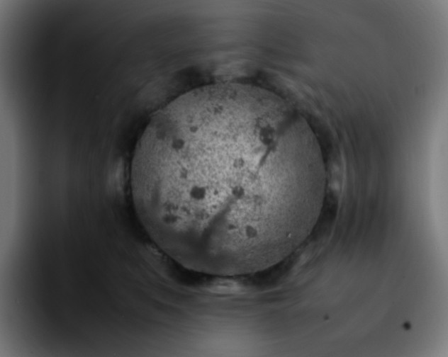 X0000092220519200709211010