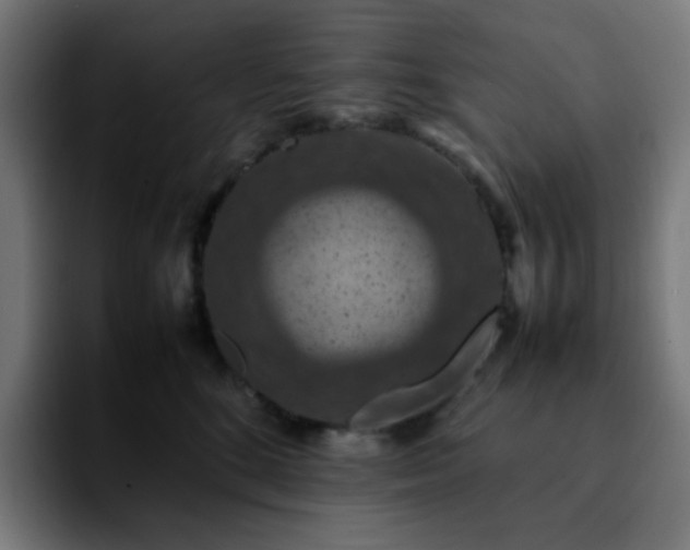 X0000092220520200709211010