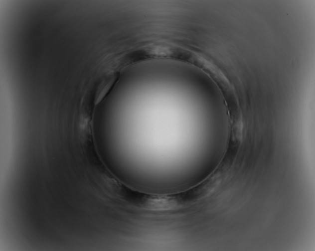 X0000092220521200709211010