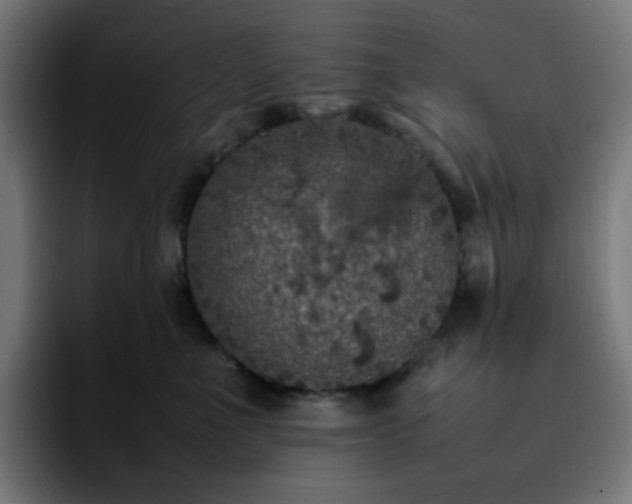X0000092220523200709211010