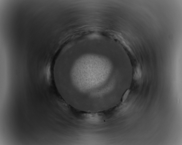 X0000092220524200709211010