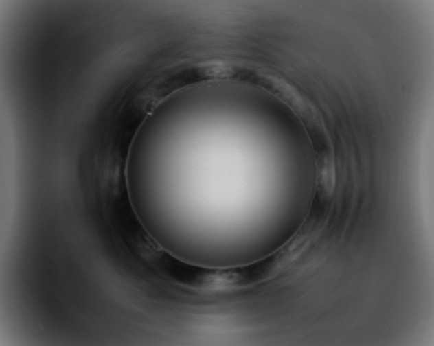X0000092220525200709211010