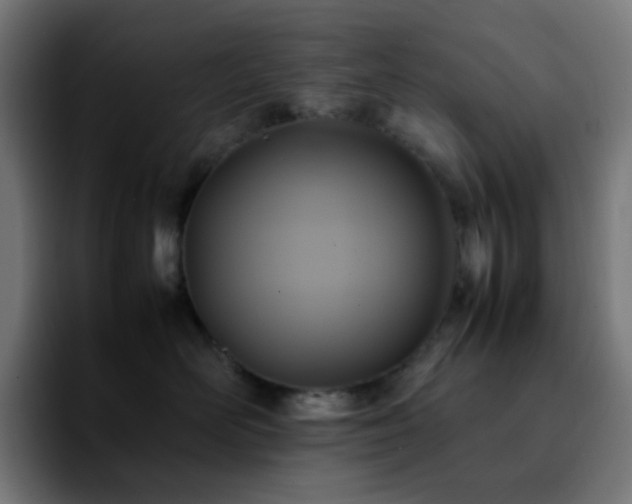 X0000092220526200709211010