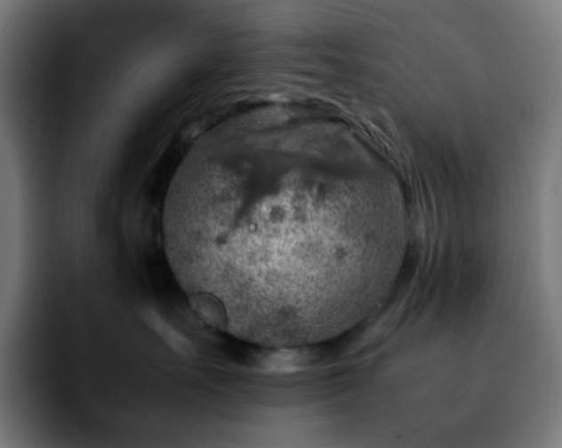 X0000092220527200709211010