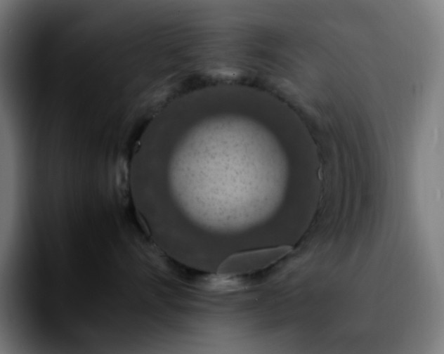 X0000092220528200709211010
