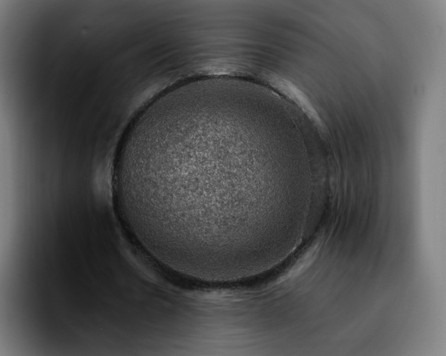 X0000092220530200709211009