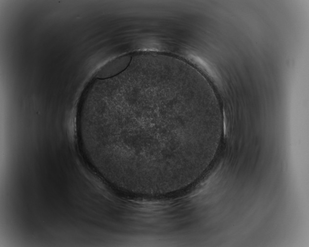 X0000092220531200709211009