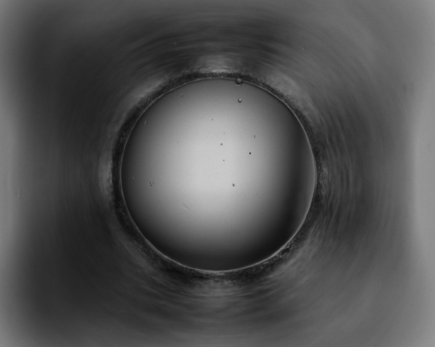 X0000092220535200709211009