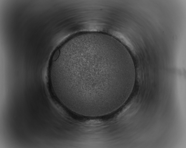 X0000092220536200709211009