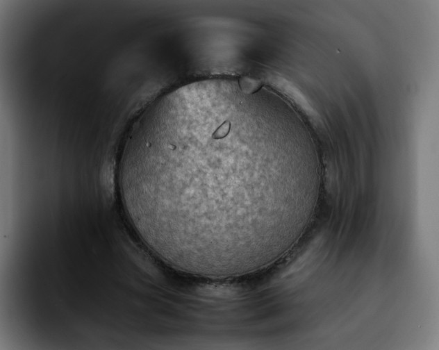 X0000092220537200709211009