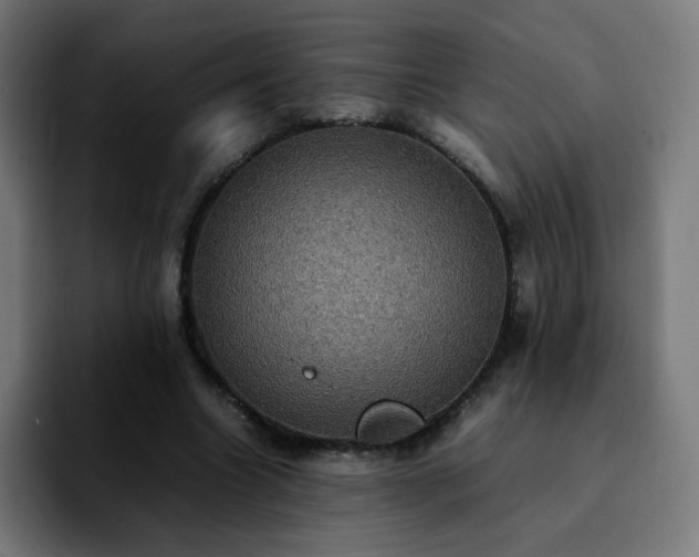 X0000092220538200709211009