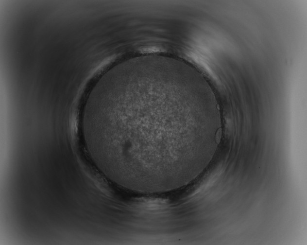X0000092220539200709211009