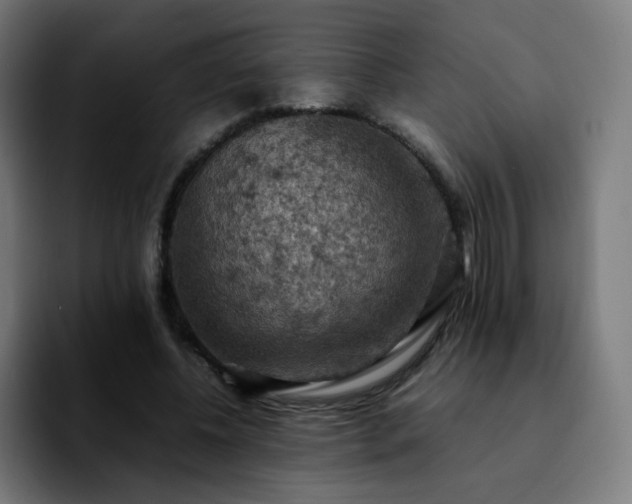 X0000092220540200709211009