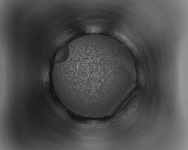 X0000092220543200709211009