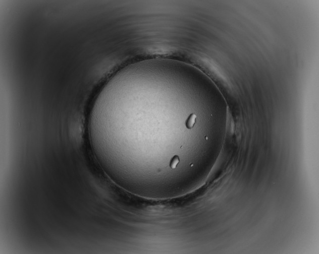 X0000092220544200709211009