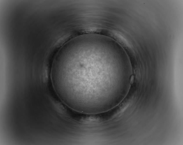 X0000092220546200709211009