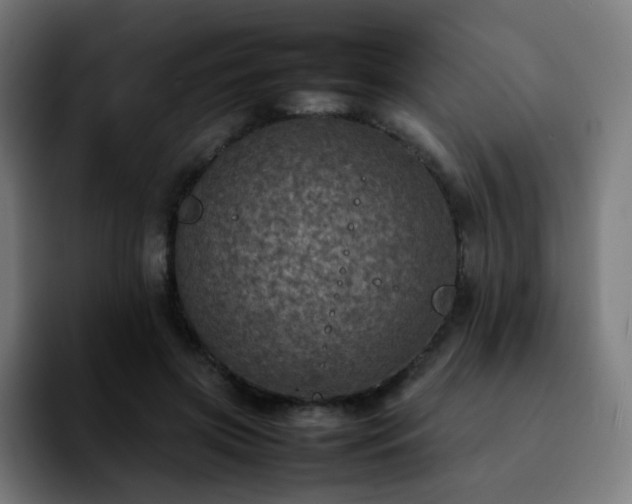 X0000092220549200709211009