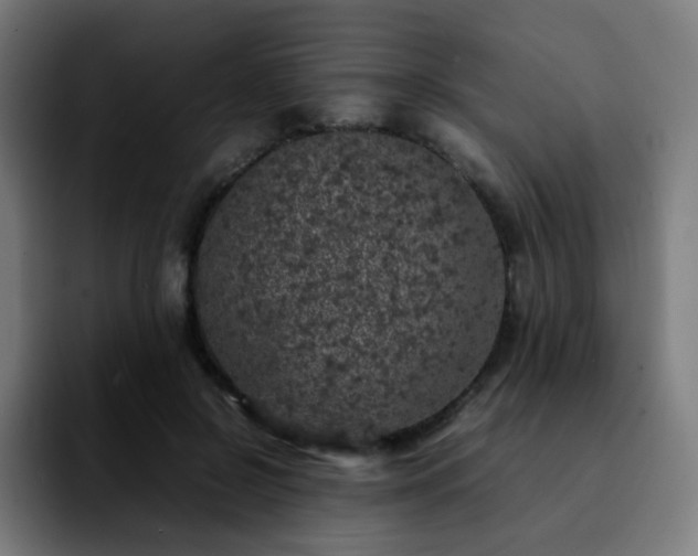 X0000092220550200709211009