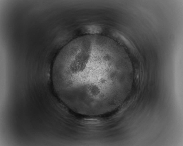 X0000092220553200709211009