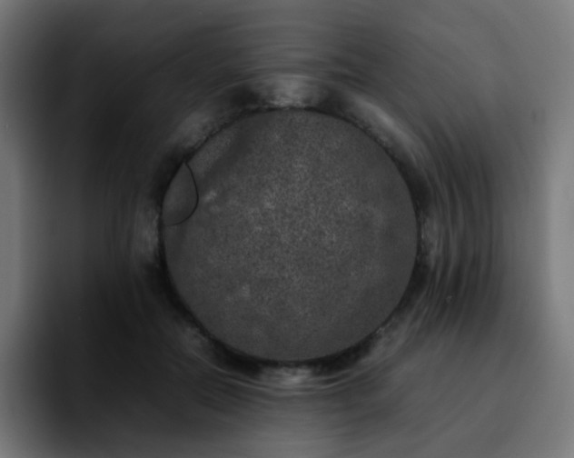 X0000092220554200709211009