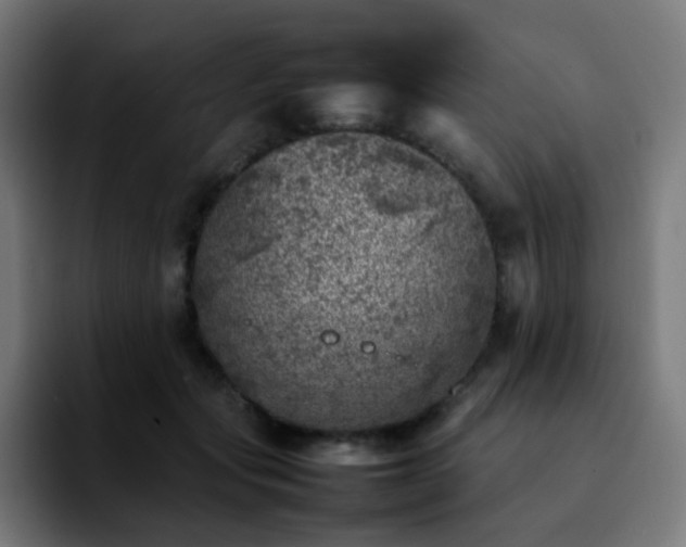 X0000092220557200709211009