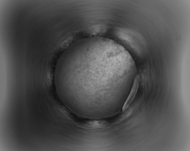 X0000092220558200709211009