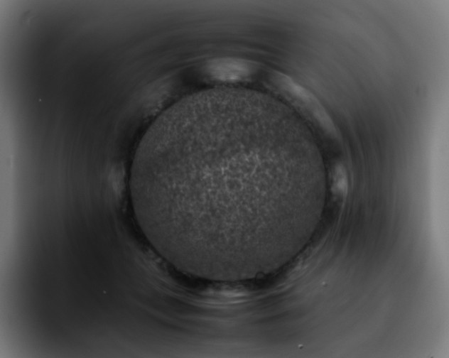 X0000092220559200709211009