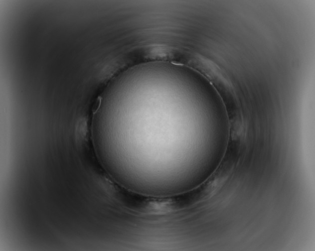X0000092220560200709211010