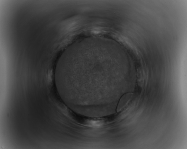 X0000092220563200709211010