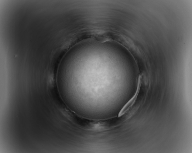 X0000092220564200709211010