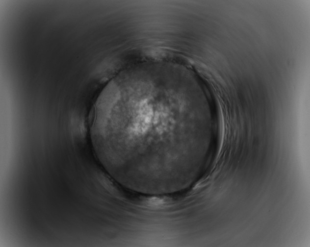 X0000092220566200709211010