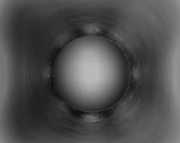 X0000092220567200709211010