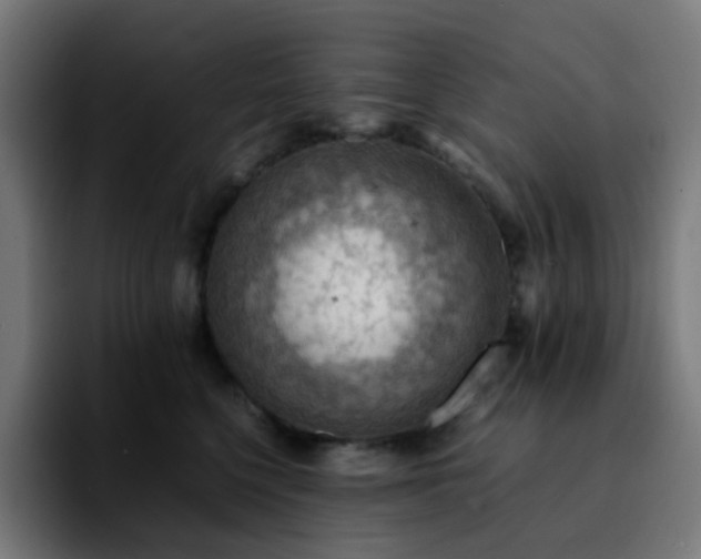 X0000092220568200709211010