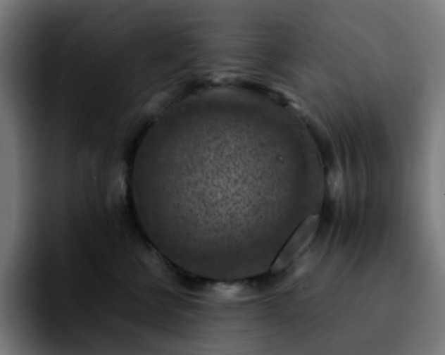 X0000092220570200709211010