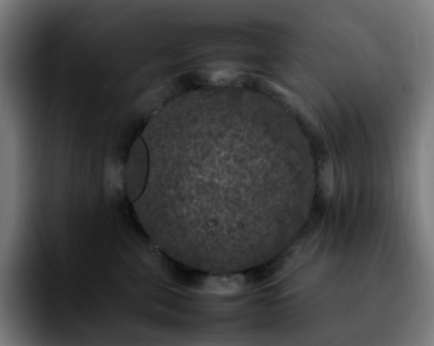 X0000092220571200709211010