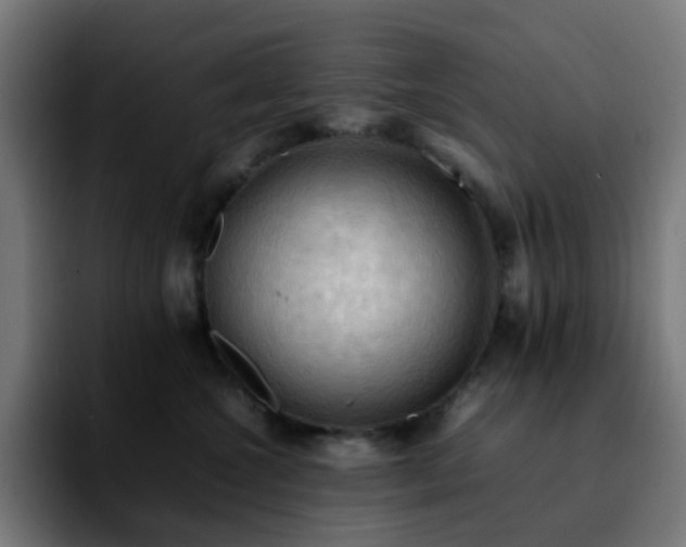 X0000092220572200709211010