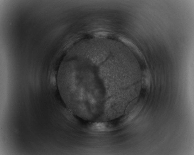 X0000092220573200709211010