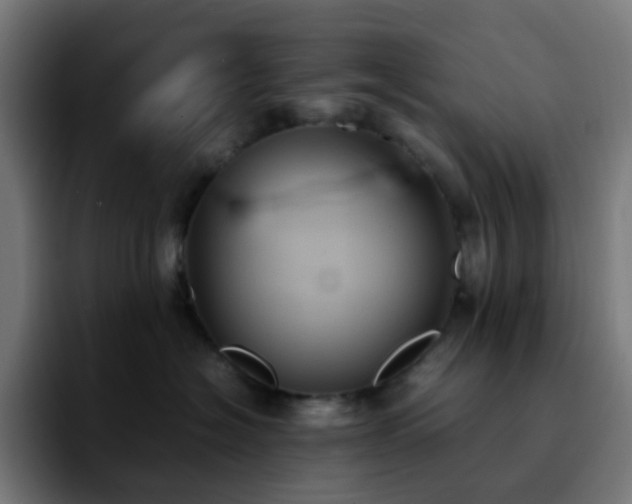X0000092220574200709211010
