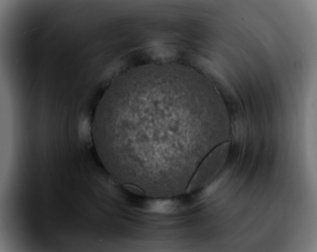X0000092220575200709211010