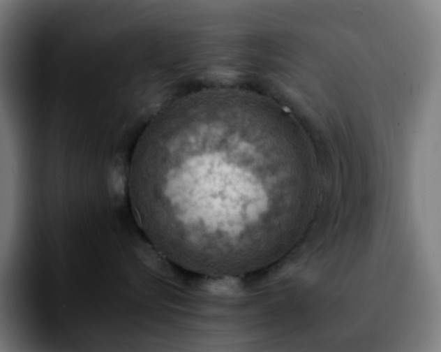X0000092220576200709211010